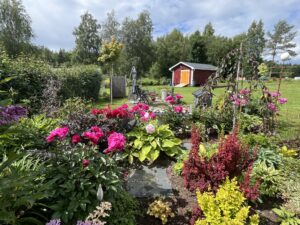 Stina och Anders Sjöbloms trädgård i Ansmark.