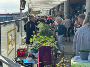 Växtmarknad på Väven.