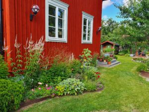 Lisa Inelands trädgård på Västteg.