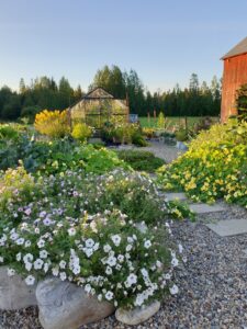 Tina Rönnlunds trädgård i Robertsfors, Rönnbo trädgård.