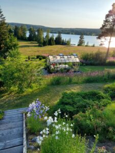 Barbro Kvists trädgård i Vännäs.